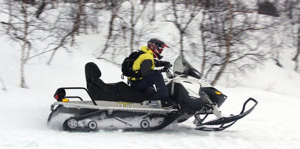 Спортивно-утилитарный турист — Ski-Doo Expedition Sport 900 ACE ITC